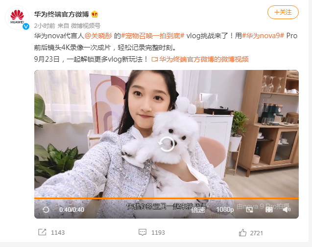 1631762030345601.png 1.png