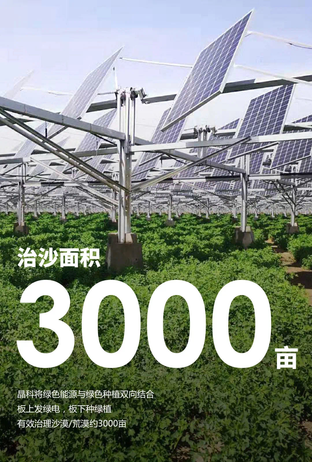 1632902853900219.jpg 图片2.jpg