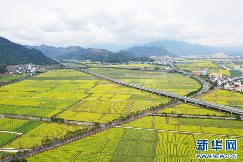 1712540549257559.jpg 2024031977891fe6be79459eac69cd4067cc8f43_202403194bd5e4a5f57049218e976069482e40fb.jpg