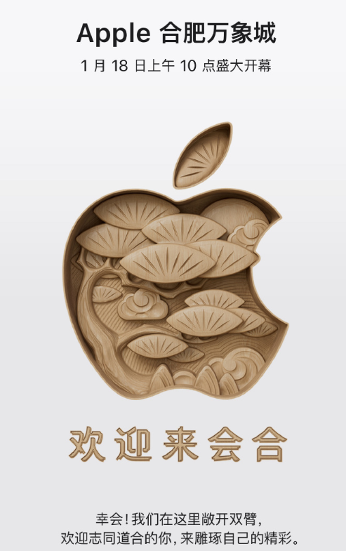 1735265397963334.png image.png